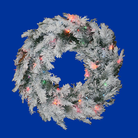 24" Pre-Lit Flocked Alaskan Artificial Christmas Wreath - Multi Dura Lights