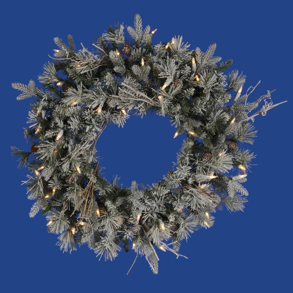 24" Pre-Lit Frosted Wistler Fir Artificial Christmas Wreath - Clear Dura Lights