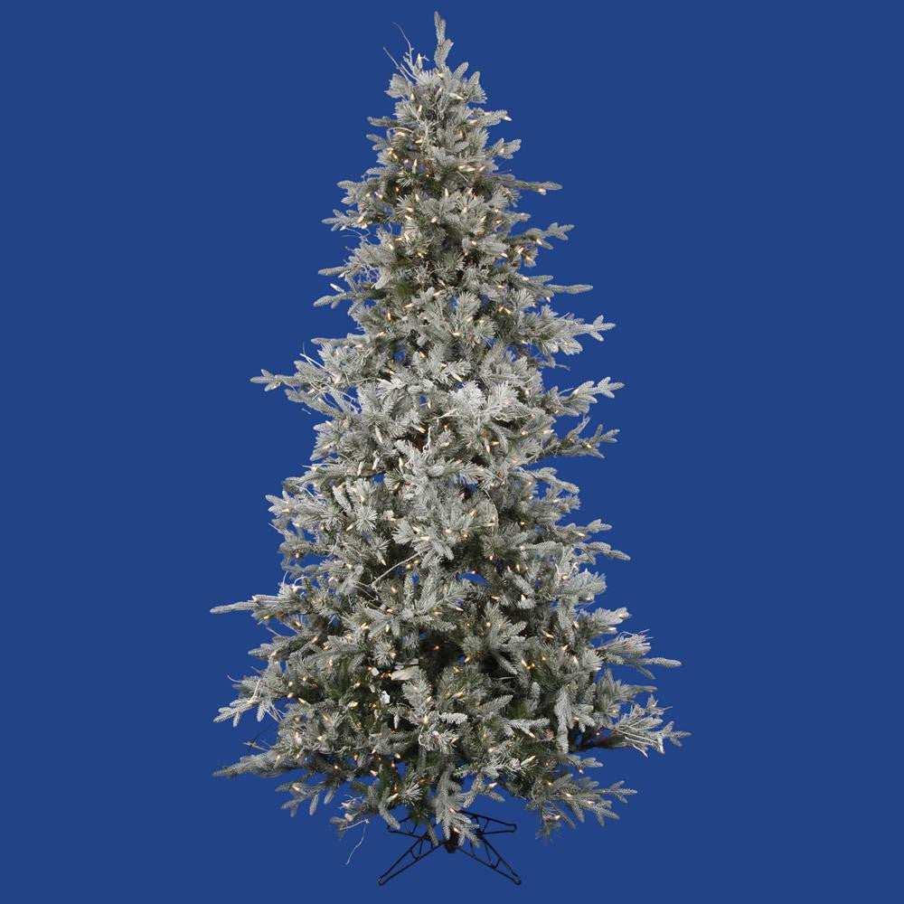 6.5' Pre-Lit Frosted Wistler Fir Artificial Christmas Tree - Clear Dura Lights