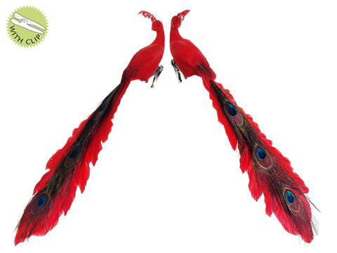 Set of 2 Regal Peacock Red Closed Tail Bird Clip-On Christmas Ornaments 15"