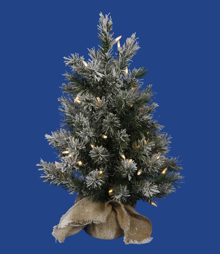 2' Pre-Lit Flocked Jackson Pine Christmas Tree in Burlap Sack - Clear LED Lights