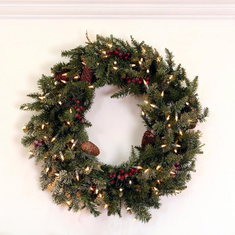 30" Pre-Lit Frosted Edina Fir Artificial Christmas Wreath - Clear Lights