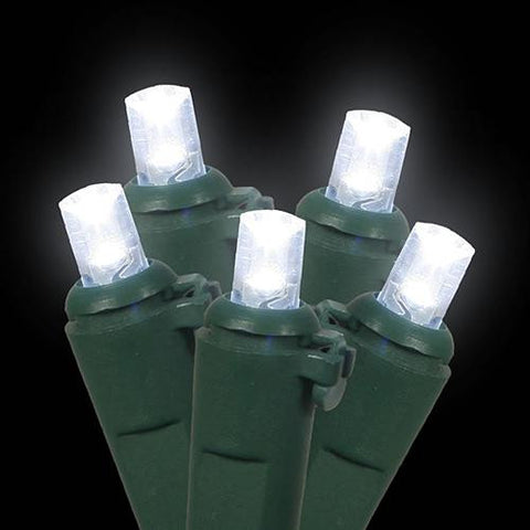 Set of 60 Cool White LED Wide Angle Christmas Lights - Green Wire