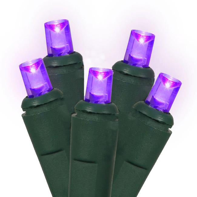 Set of 60 Purple LED Wide Angle Christmas Lights - Green Wire