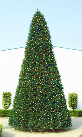 18' Giant Pre-Lit Everest Fir Commercial Christmas Tree - Multi LED Lights