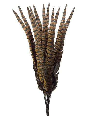 Club Pack of 12 Brown and Black Faux Pheasant Feather Christmas Craft Picks 20"