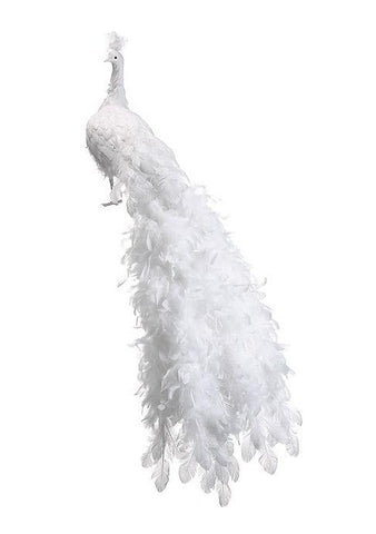 60" Life-Size Regal Peacock White Winter Frost Bird with Closed Tail Feathers