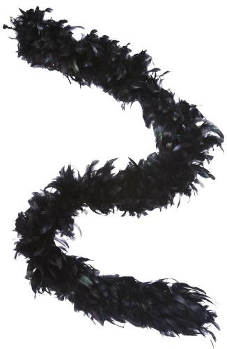 6' Regal Peacock Black Christmas Feather Boa Garland - Unlit