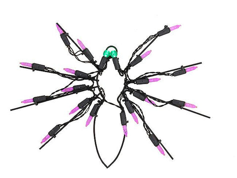 12" Battery Operated LED Lighted Spider Halloween Window Silhouette