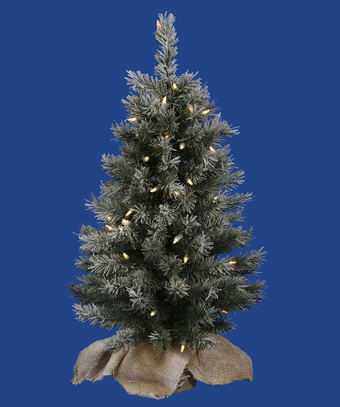 2.5' Pre-Lit Flocked Jackson Pine Christmas Tree in Burlap Sack - Clear Lights