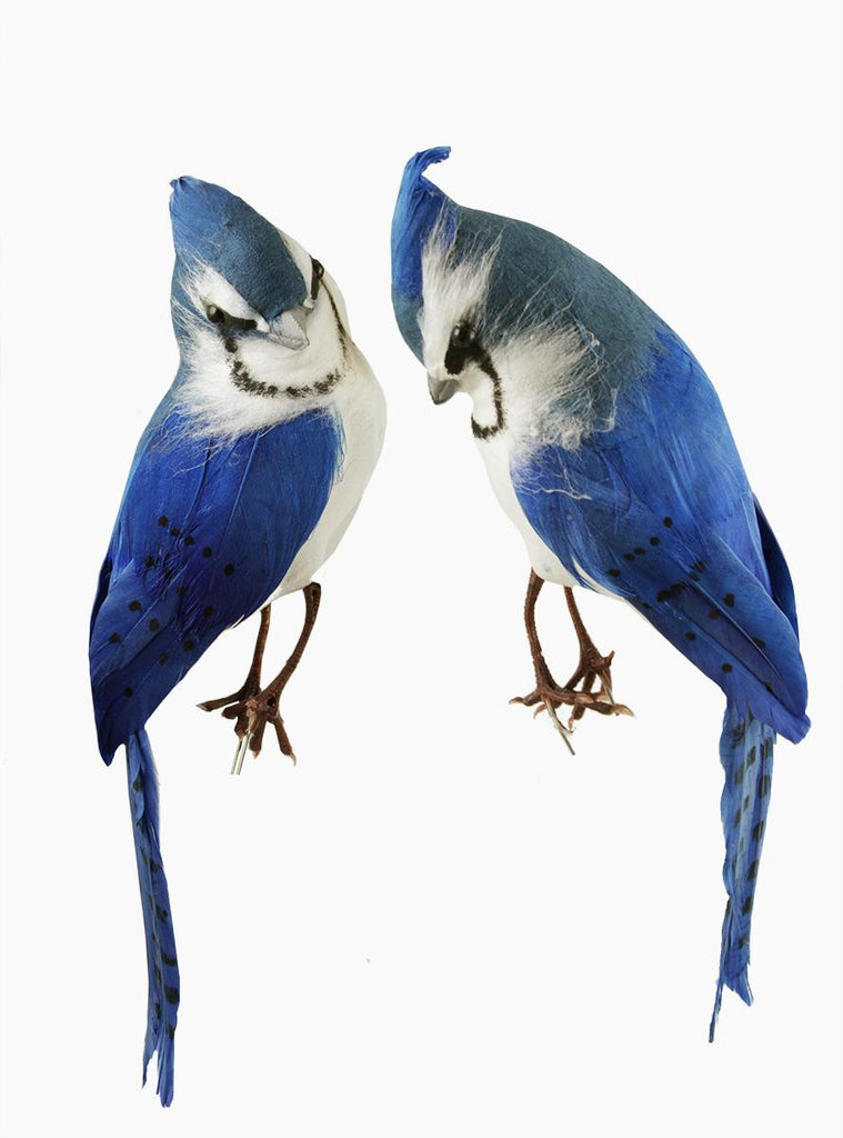 Set of 2 Blue Jay Decorative Christmas Figure Ornaments 8"