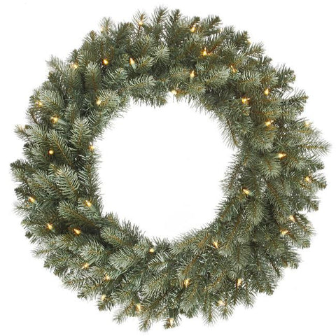 24" Pre-Lit Colorado Blue Spruce Artificial Christmas Wreath - Clear Dura Lights