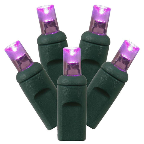 Set of 100 Purple Commercial Grade LED Wide Angle Christmas Lights - Green Wire