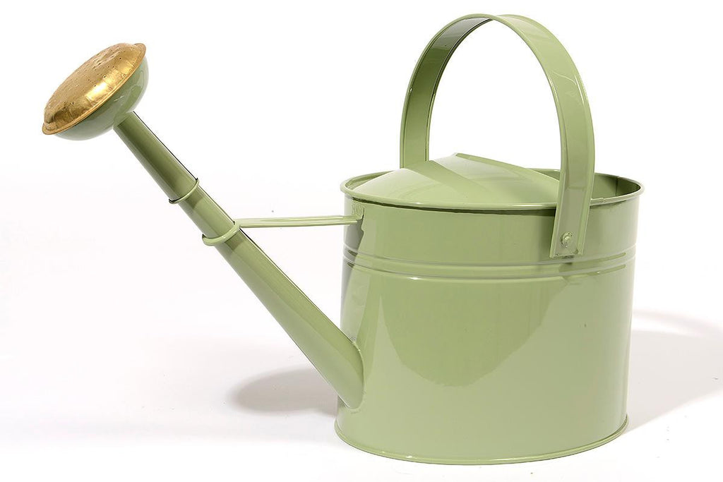 11.5" Tea Garden Celadon Green Outdoor Garden Patio Watering Can