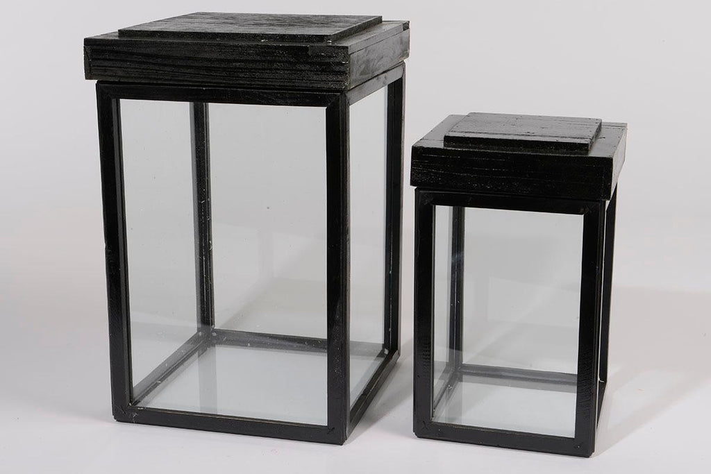 Set of 2 Botanic Beauty Lidded Black Fir Wood Display Boxes 16.5"