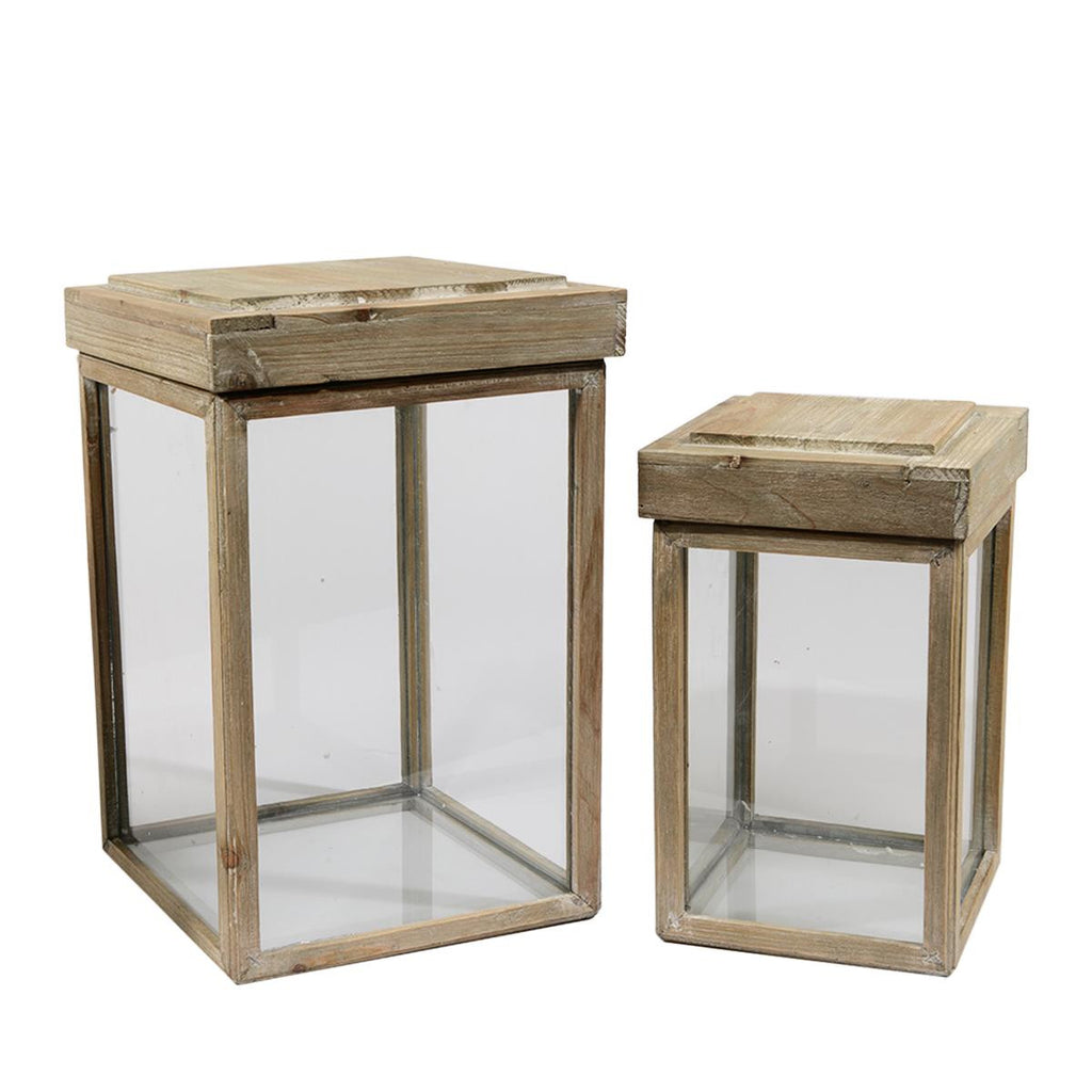 Set of 2 Beach Day Rustic Chic Glass and Fir Wood Lidded Display Boxes 16.5"