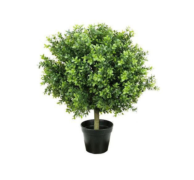 24" Potted Two-Tone Artificial Murraya Ball Topiary Tree