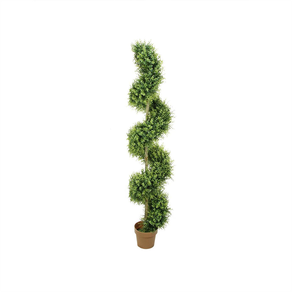 5.5' Potted Two-Tone Artificial Boxwood Spiral Topiary Tree