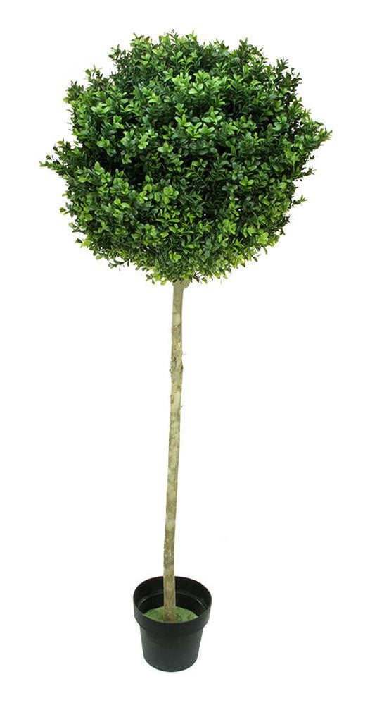 5' Potted Two-Tone Artificial Murraya Ball Topiary Tree