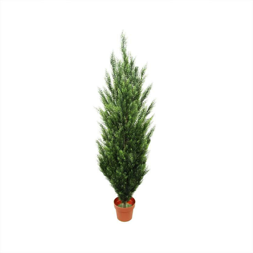 5.5' Potted Two-Tone Artificial Cypress Tree