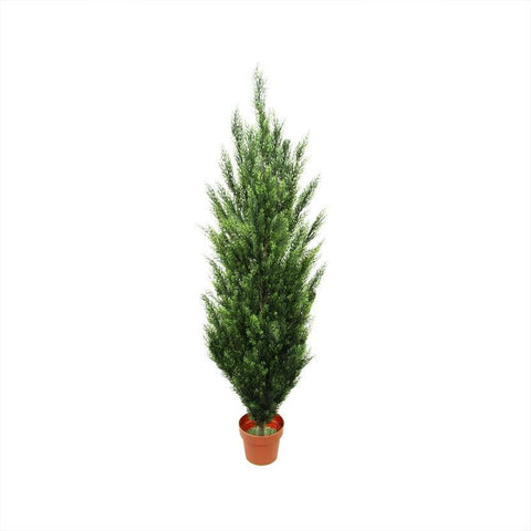 5.5' Potted Two-Tone Artificial Cypress Tree