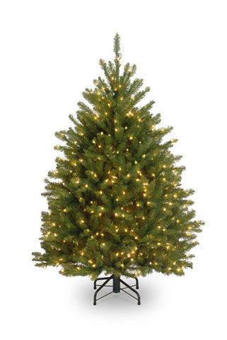 4' Pre-Lit Northern Dunhill Fir Full Artificial Christmas Tree - Clear Lights