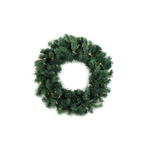 24" Pre-Lit Washington Frasier Fir Artificial Christmas Wreath - Clear Lights