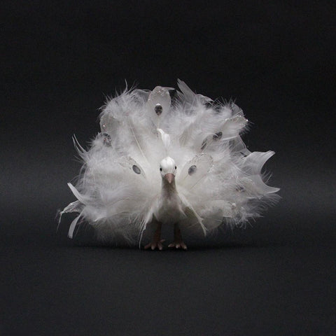 9" White Regal Peacock Bird with Open Tail Feathers Christmas Decoration