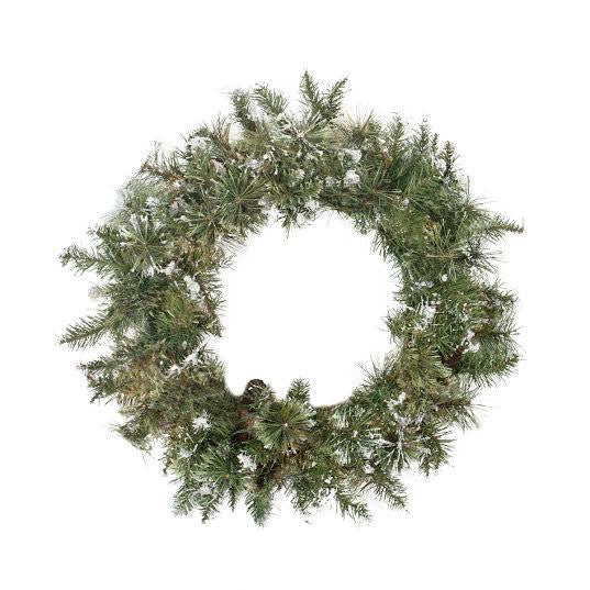 24" Snow Mountain Pine Artificial Christmas Wreath - Unlit