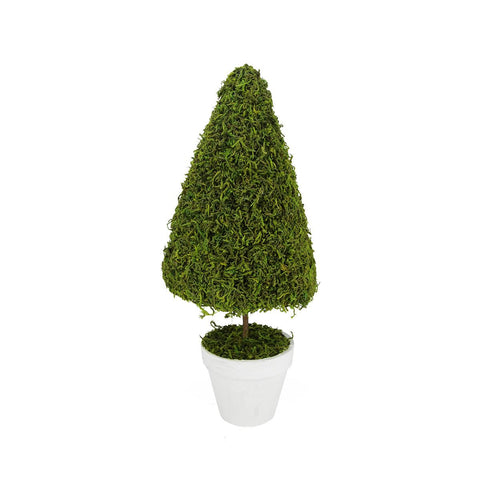 21.25" Green Reindeer Moss Potted Artificial Spring Floral Topiary Tree