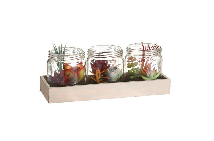 Set of 3 Artificial Mixed Succulent Plants in Glass Jars on Wooden Display Tray 9.25"