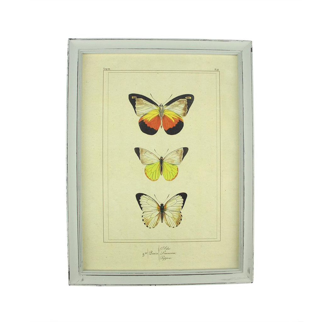 15.75" Botanic Beauty Decorative Orange Butterfly Framed Print Wall Art