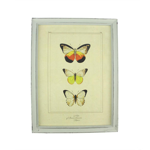 15.75" Botanic Beauty Decorative Green Butterfly Framed Print Wall Art