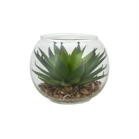 4.5" Decorative Artificial Green Aloe Succulent Plant in Round Glass Vase