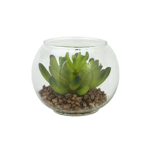 4.5" Decorative Artificial Green Succulent Plant in Clear Round Glass Vase