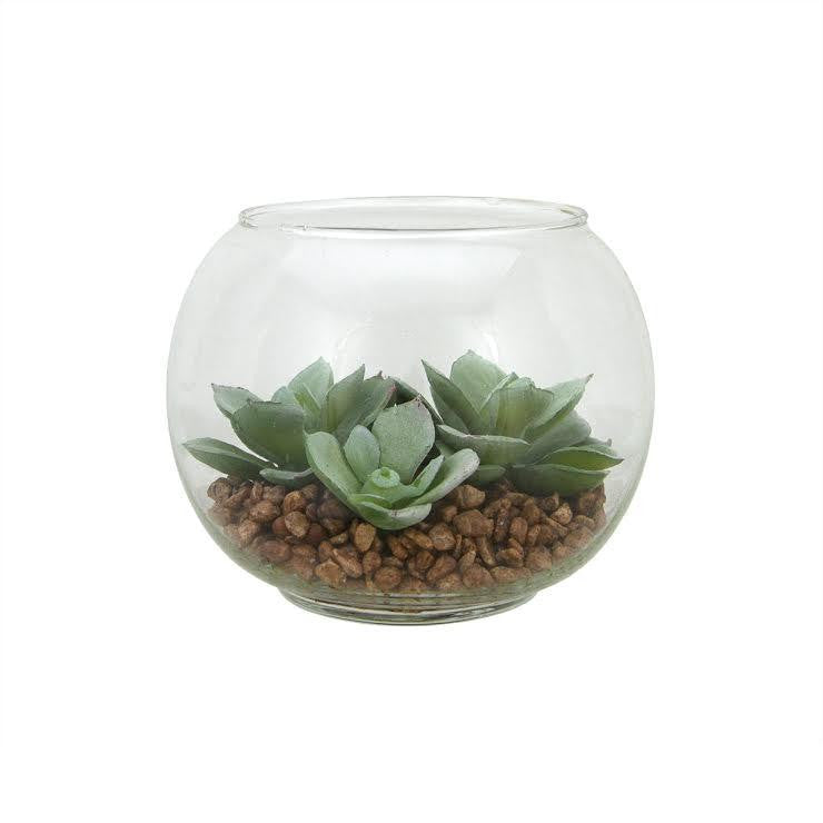 4.5" Decorative Artificial Green Echeveria Succulent Plant in Clear Round Glass Vase