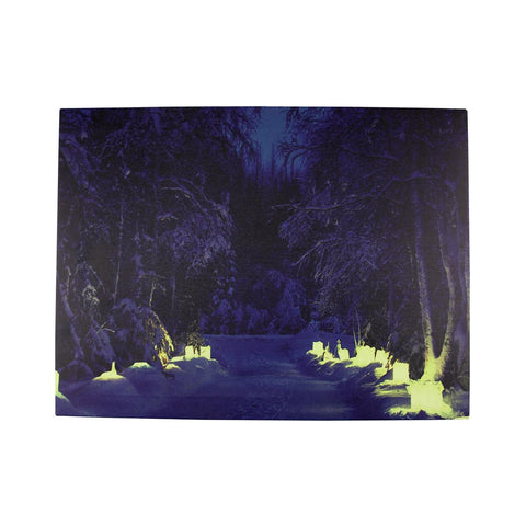 LED Lighted Nighttime in the Woods Winter Scene Canvas Wall Art 11.75" x 15.75"