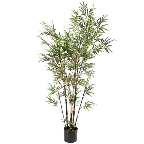 6' Potted Black Japanese Artificial Bamboo Tree