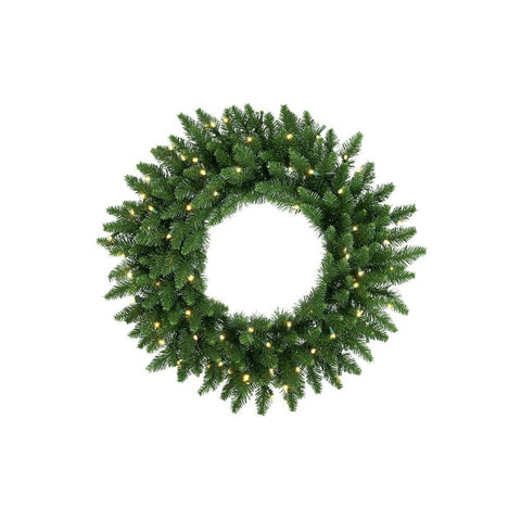 24" Pre-Lit Northern Dunhill Fir Artificial Christmas Wreath - Warm Clear LED Lights