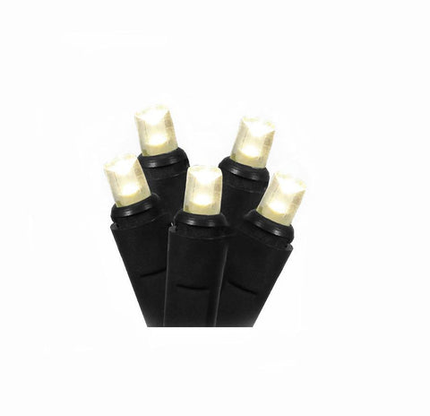 Set of 50 Warm White LED Wide Angle Christmas Lights - Black Wire