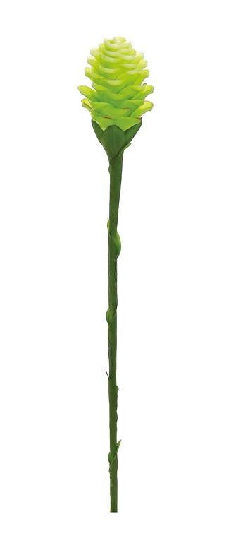 28" Light Green Artificial Ginger Flower Decorative Floral Crafting Stem