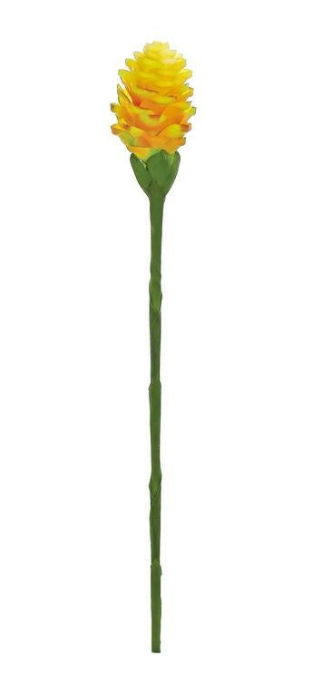 28" Yellow and Green Artificial Ginger Flower Decorative Floral Crafting Stem