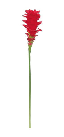 30" Red Artificial Torch Ginger Flower Decorative Floral Crafting Stem