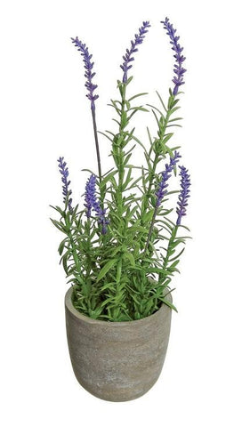 14" Decorative Purple and Green Artificial Potted Lavender