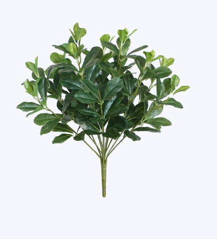 18" Decorative Artificial Green Two Tone Polyscias Floral Bush