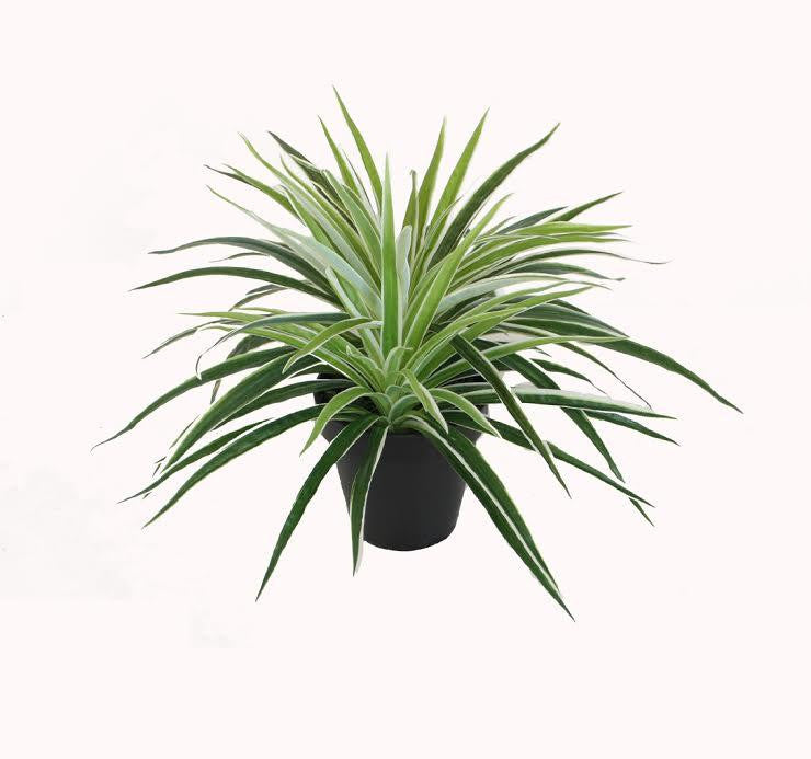 12" Decorative Artificial Potted Two Tone Green and White Grass Plant with Black Pot