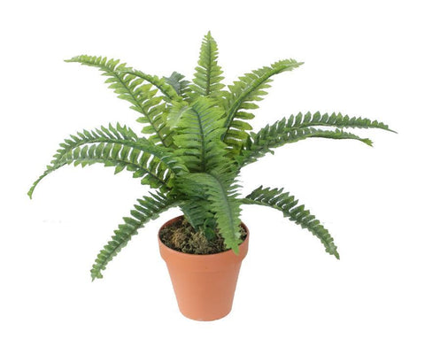 19" Potted Artificial Green Boston Fern Plant Spring Decoration