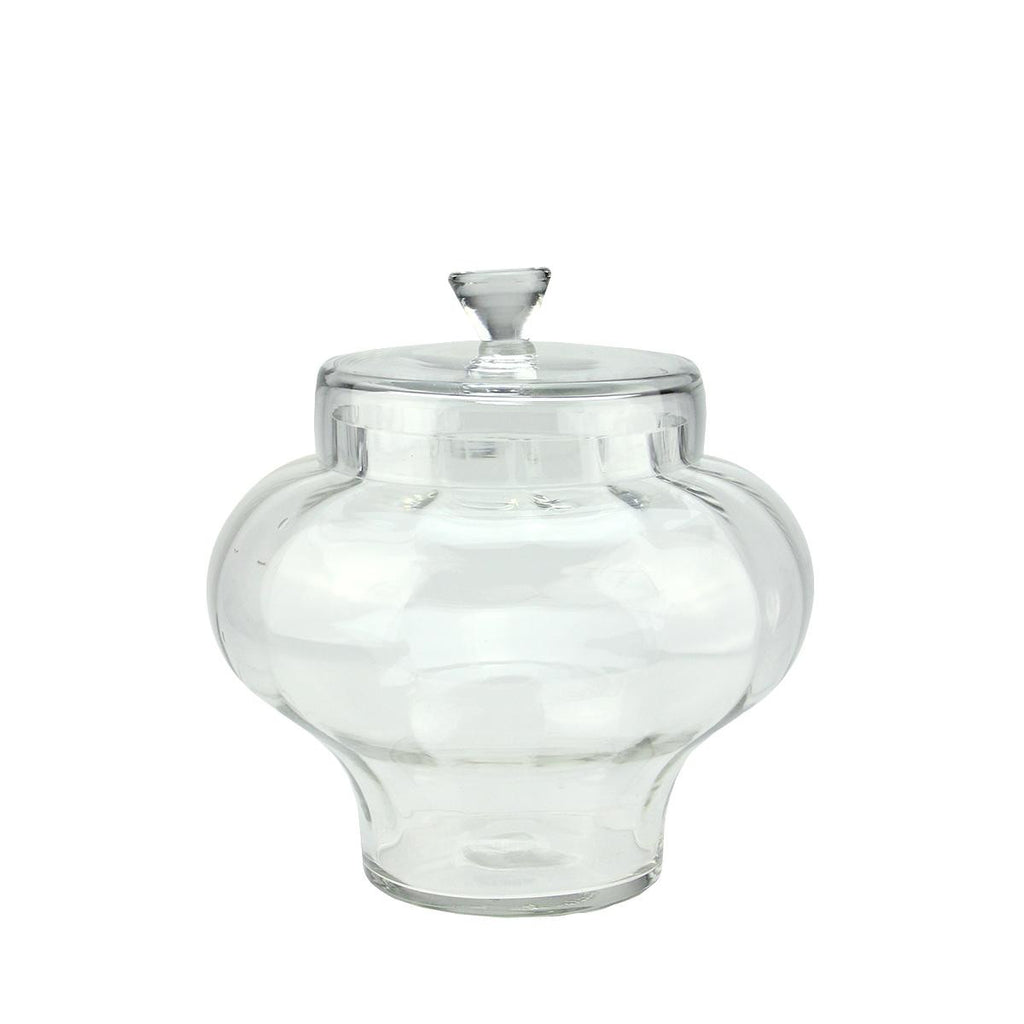 11" Transparent Segmented Glass Container with Lid