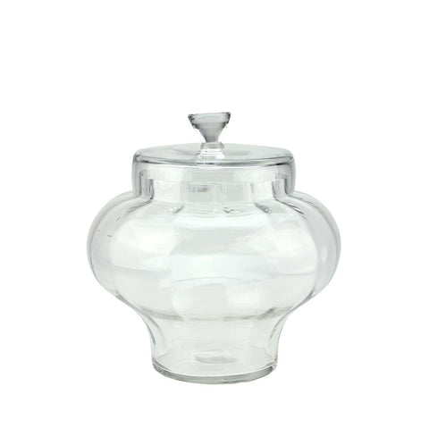 11" Transparent Segmented Glass Container with Lid