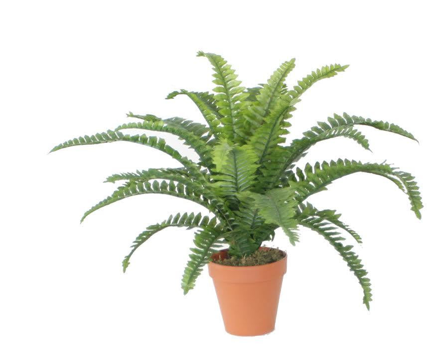 18.5" Potted Artificial Green Boston Fern Plant Spring Decoration